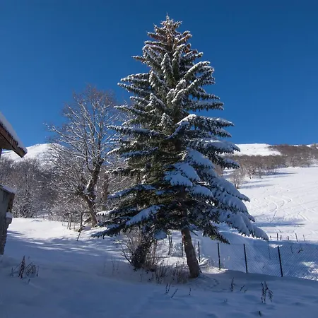 Apartment 2 Pieces 6 Pers, Terrasse, Parking, Animaux Acceptes - Fr-1-263-539 Valloire